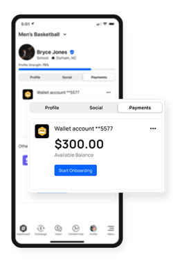 Profile Payments 2